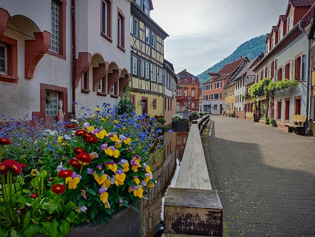 Photo a street in the old city of annweiler
