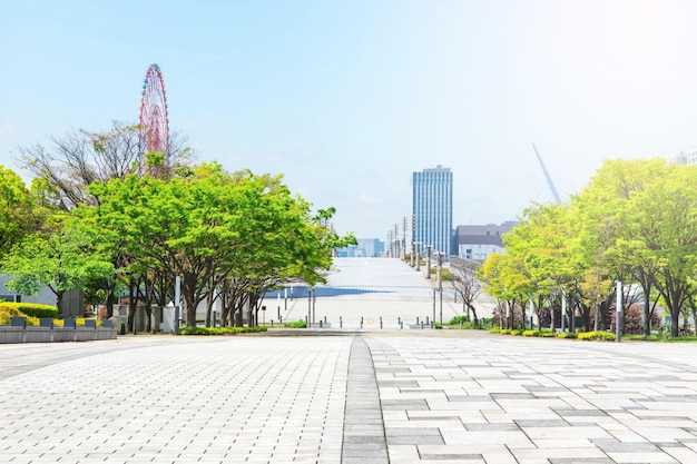 街路や道路沿いの木