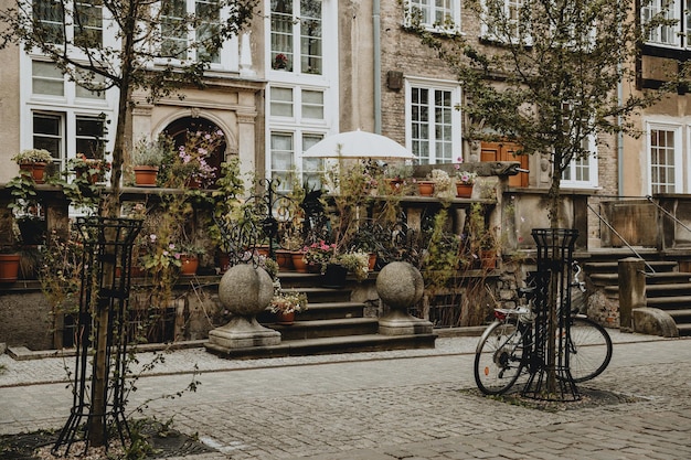 Photo a street scene with a bicycle parked in front of a building with a balcony and a tree with flowers.