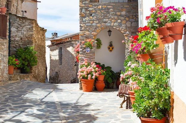 A street scene with flowers in pots and a door to a house.