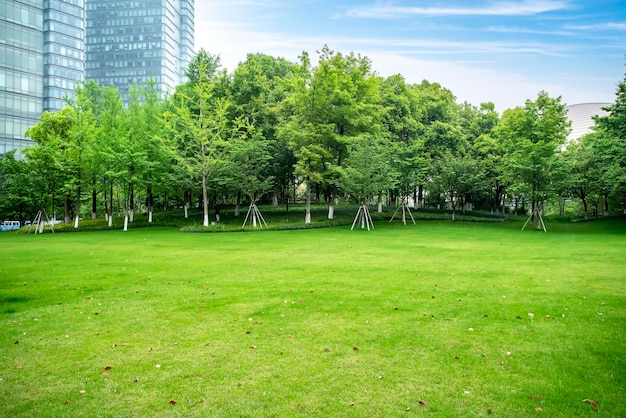 緑の草とモダンな建物のあるストリートシーン