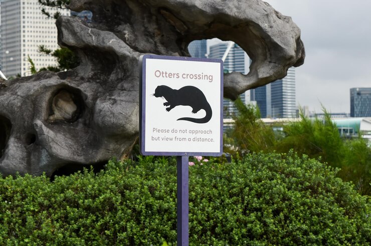 シンガポールの街標にはオッター・クロッシング (Otter Crossing) と書かれています 遠くから見るとオッターのイラストが描かれています