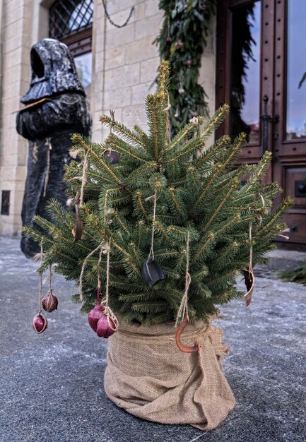 写真 タマネギの頭と食器でクリスマスのために飾られた街路樹