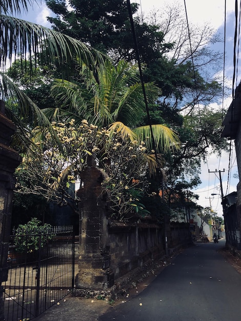 A street in the village of kandy