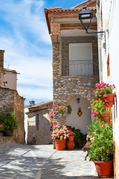 A street in a village with flowers in pots