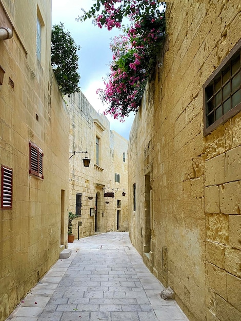 Street and walls of an ancient city