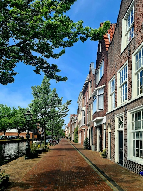 A street with houses and trees on it