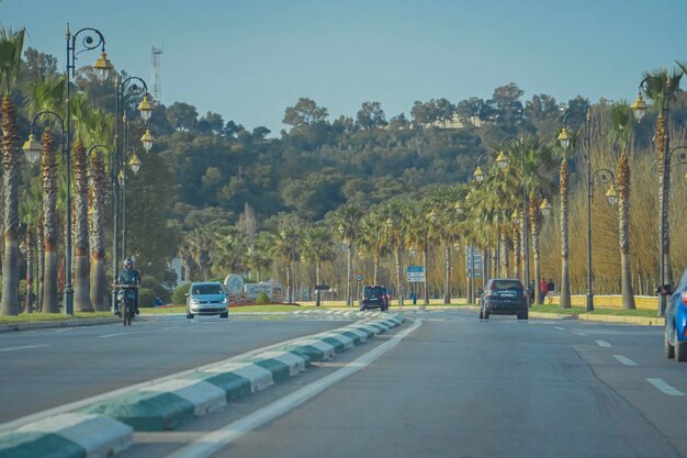 Foto una strada con palme e un cartello che dice 