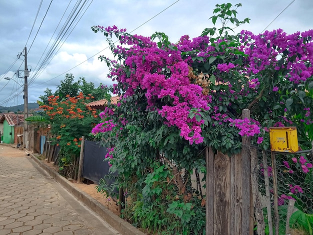 A street with a sign that says bougainvillea on it