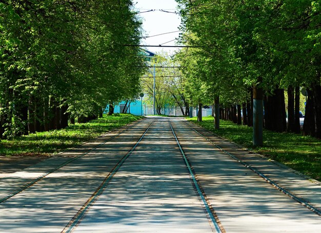 Foto tramvia ferroviaria dei binari estivi sfondo dei trasporti