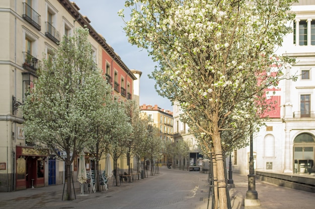 Streets of madrid in spring Madrid Spain March 2021 The Arenal street in downtown Madrid in Spain Europe