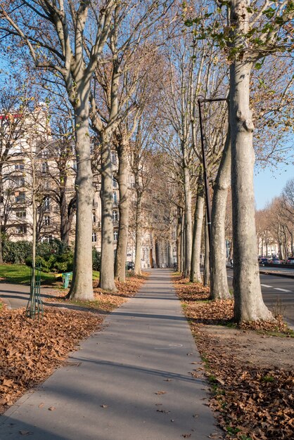 Streets of Paris on winter