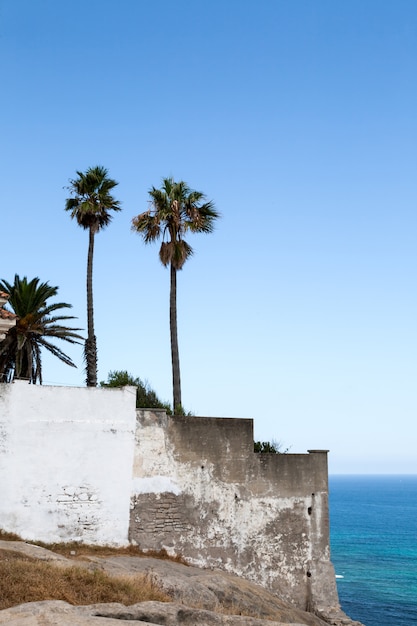 Streets, of Tanger.Morocco