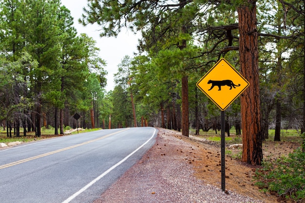 Streetsight aan de rand van een weg in Grand Canyon National Park, VS