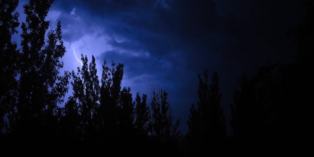 Foto strepen van heldere bliksemschichten scheuren door de paarse nachtelijke hemel op een stadsstraat met een silhouet van een boom bliksem slaat 's nachts in de ruimte tussen de bomen