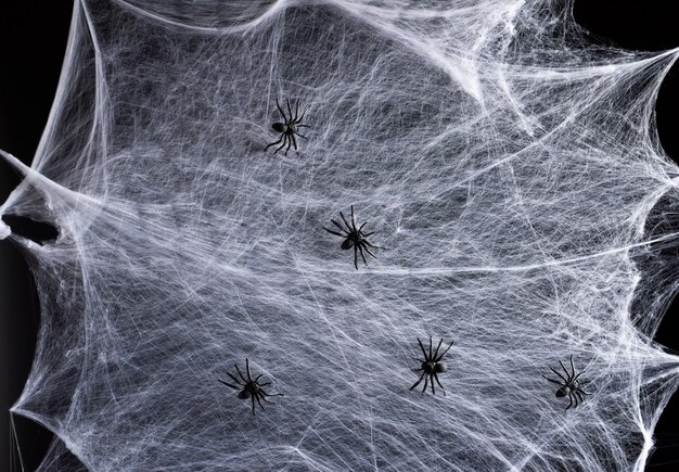 Photo stretched white web and black plastic spiders