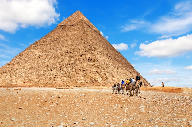 String of camels near the Pyramid of Chephren, Egypt.