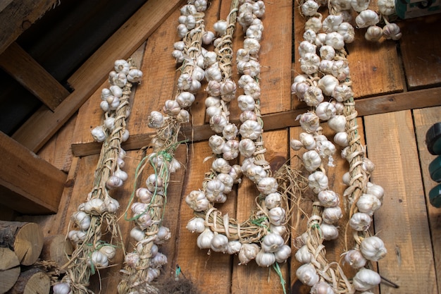 String of garlic on wooden background