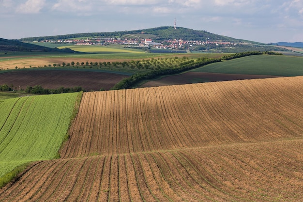 Полосатые узоры на полях Южной Моравии зеленые и желтые свежие весенние цвета