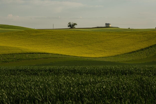 Photo stripe patterns on fields of south moravia green and yellow fresh spring colors