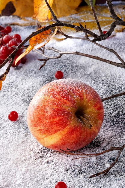 Striped apples sprinkled with powdered sugar. The dish simulates apples in the snow