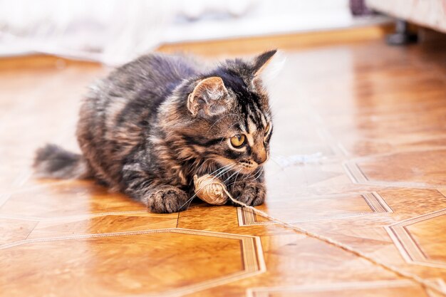 A striped cat is sitting on the floor playing a tangle of threads