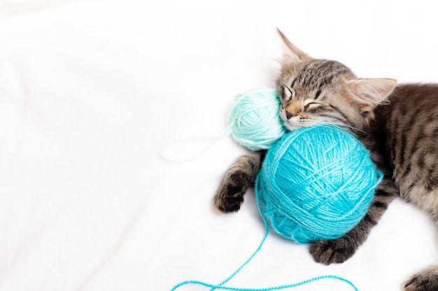 Gatto a righe con palline blu matasse di filo su un letto bianco un articolo sui gattini un articolo sugli animali domestici