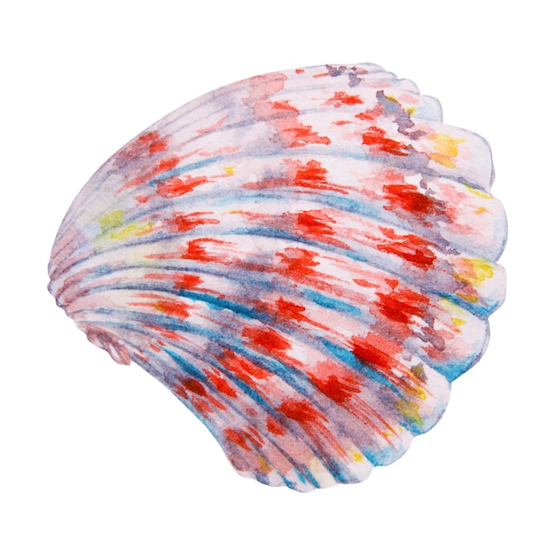 Striped red and blue scallop shell watercolor hand drawn sea illustration perfect for diving themes