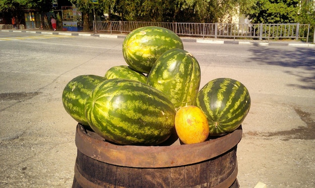 Striped watermelons on a barrel