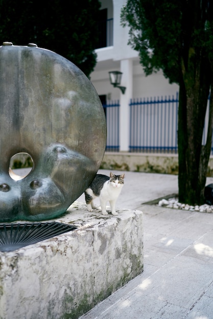 Striped white cat sits near a sculpture on the street