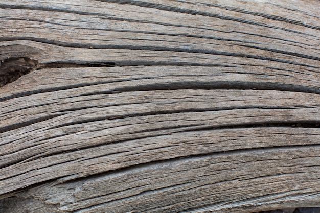 Stripped wood texture. 