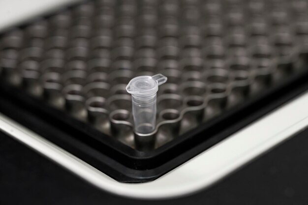 Strips with DNA in the PCR thermal cycler or amplifier for PCR diagnostics