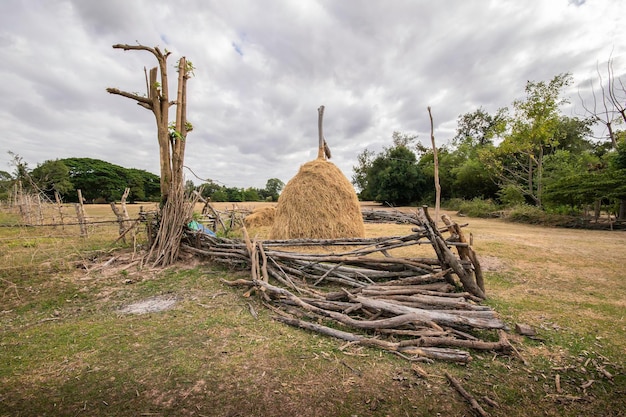 Stro van de landbouw op het platteland buiten de grote stad