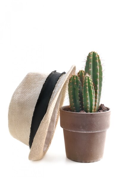 Strohoed op een cactus