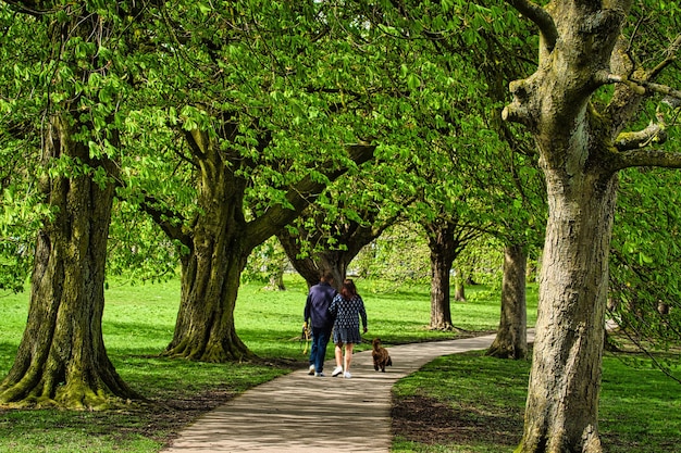 Photo stroll in the park in harrogate north yorkshire