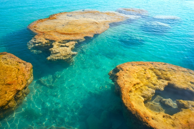 Stromatolieten in bacalar lagune van mexico