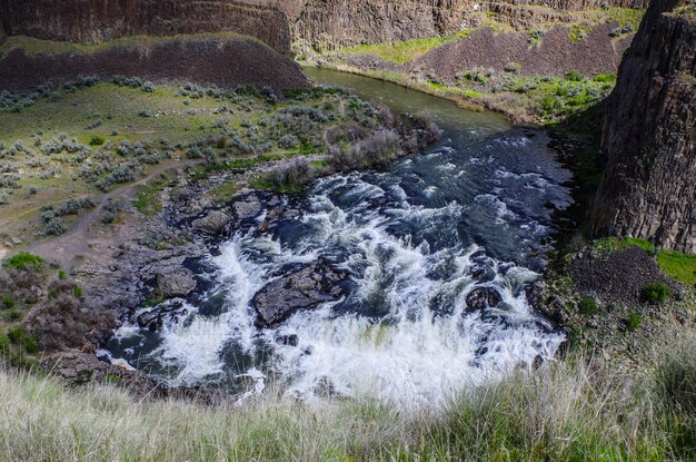 Foto stromen die over rotsen in een rivier stromen