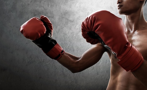 strong muscular boxer