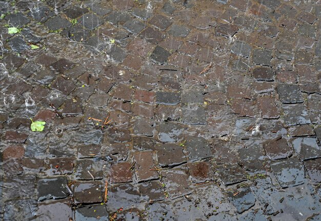 写真 都市で激しい雨が降った