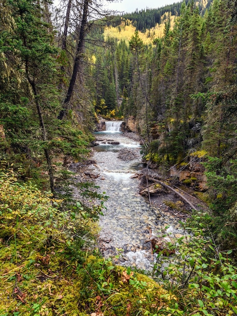 Stroom die in boogvallei op nationaal park bij Johnston-canion, Canada stroomt