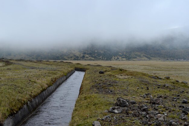 Stroom en mist van het Cotopaxi nationale park in Ecuador, Zuid-Amerika