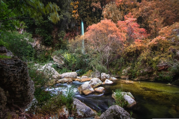 Stroom in herfstbos