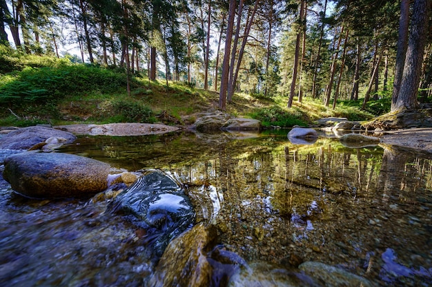 Stroom met transparant water en reflecties van de bosbomen. Navacerrada.