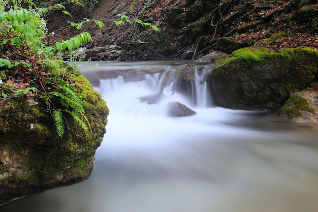 Stroom met waterval en bemoste stenen eromheen