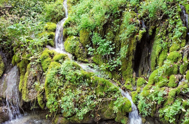 Stroom stroomt in het Gardameer van groene berg