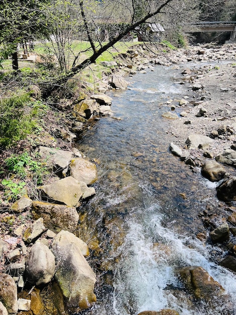 Stroom van gezond mineraalwater Karpaten Yaremche Oekraïne Natuurlandschap Selectieve aandacht