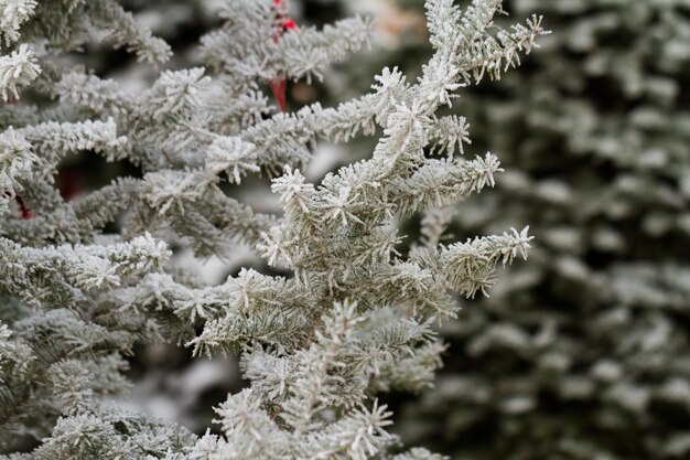 Stroomden kerstboom met meerdere kleuren.