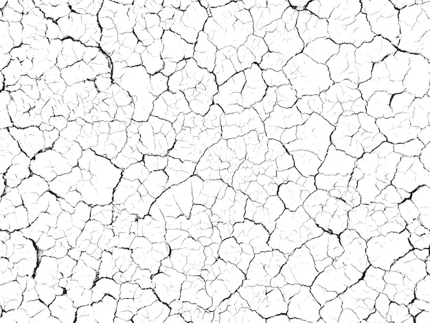 Structure cracked soil ground earth texture on white