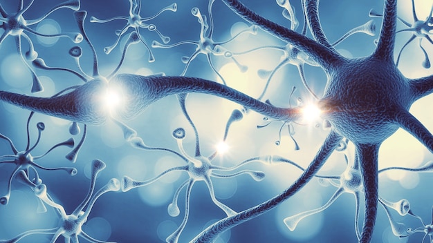 Фото Структура нервной системы человека головного мозга человека