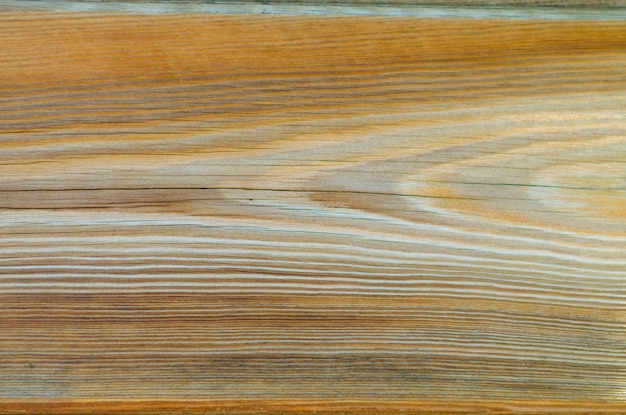 Photo the structure of the wooden panel in close-up.